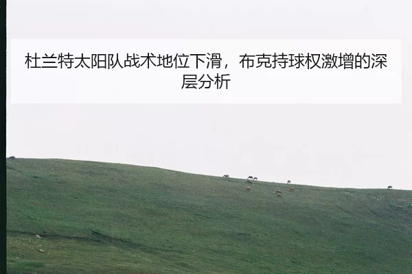 杜兰特太阳队战术地位下滑，布克持球权激增的深层分析